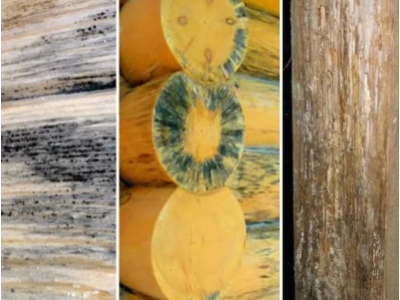 Защита древесины весной — когда и чем обрабатывать, чтобы не гнила и не выцветала