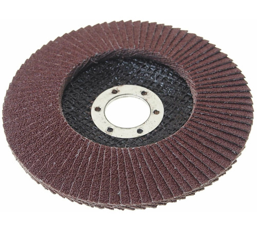 Круг лепестковый торцевой 125*22 P40